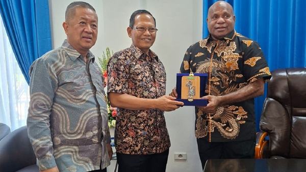 APHI: Papua memiliki potensi besar kembangkan multiusaha kehutanan