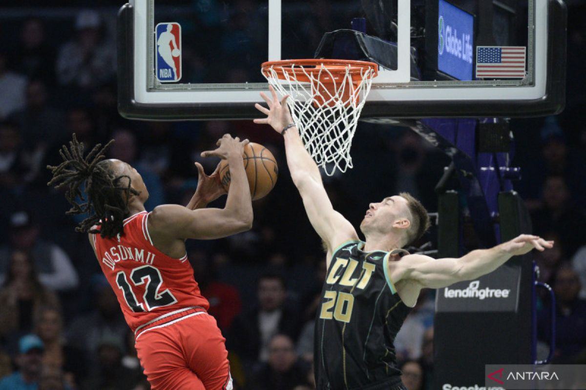 Dosunmu niat bertahan di Timberwolves dengan kontrak capai Rp2 triliun