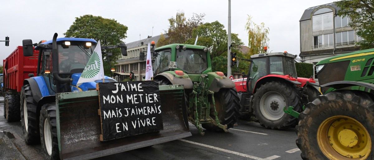 eu-states-nod-on-mercosur-trade-deal-ends-25-year-wait-scrape-1767976447.jpg