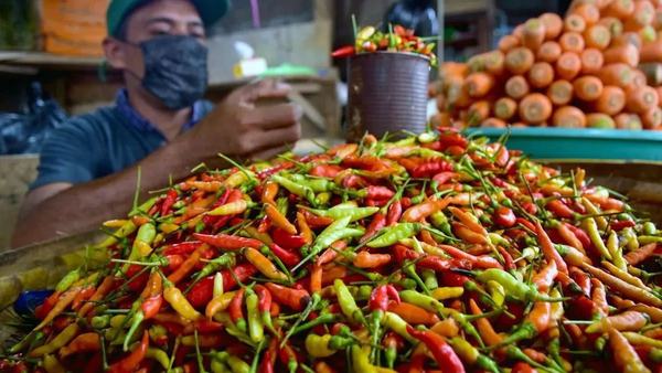 Harga cabai rawit Rp69.750/kg, telur ayam Rp29.750/kg di Jumat pagi