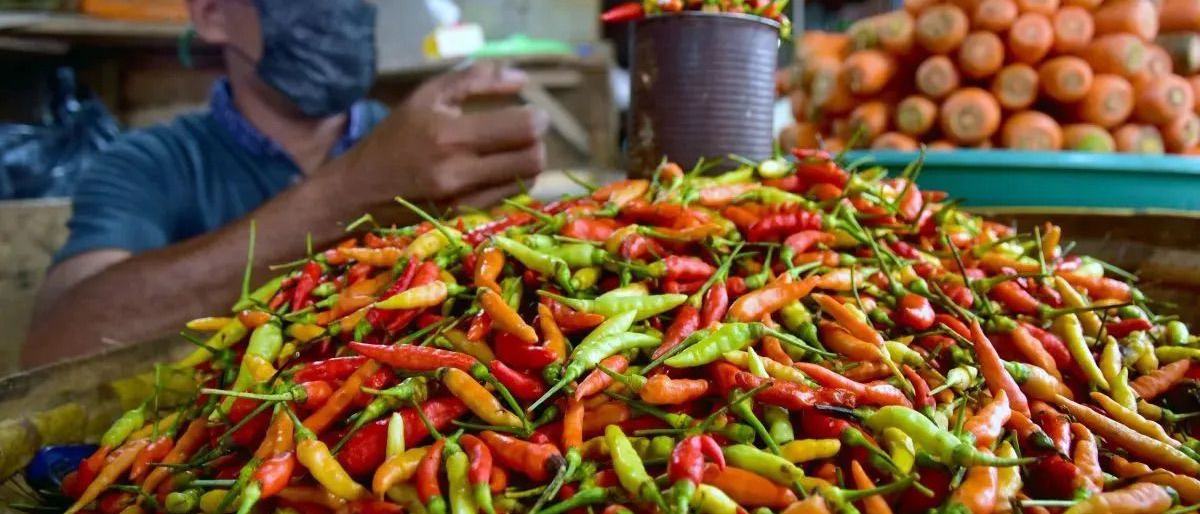 Harga cabai rawit Rp69.750/kg, telur ayam Rp29.750/kg di Jumat pagi
