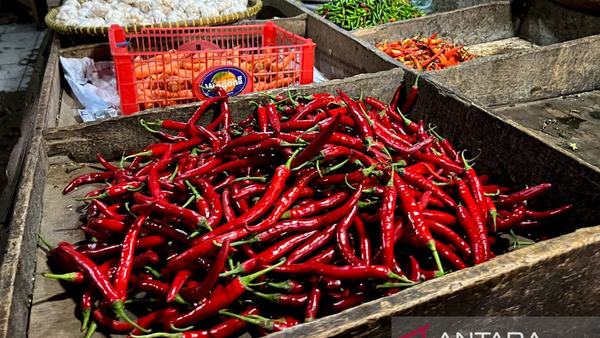 Harga cabai rawit Rp70.400/kg, telur ayam Rp29.750/kg di Kamis pagi