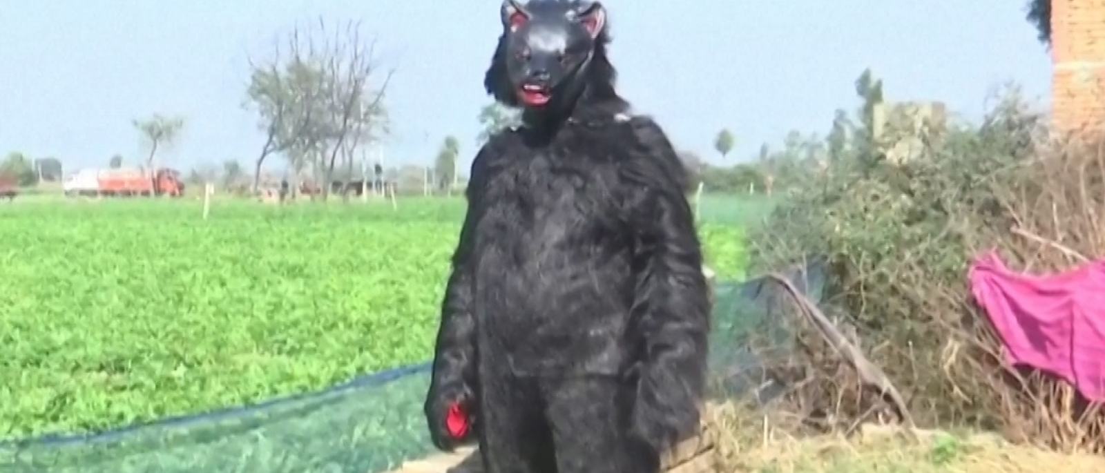 indian-farmers-dress-up-as-bears-to-protect-crops-from-monkeys-1773688291.jpg