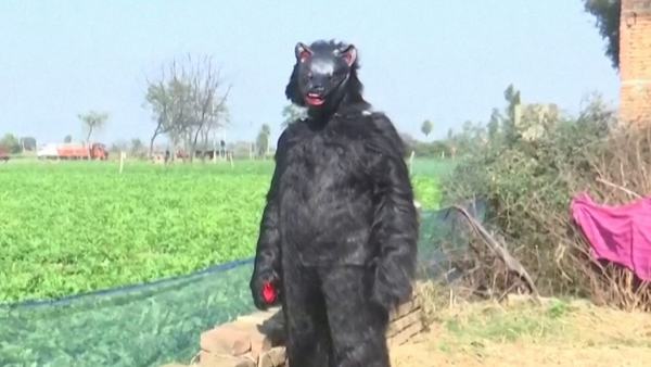 indian-farmers-dress-up-as-bears-to-protect-crops-from-monkeys-1773688291.jpg