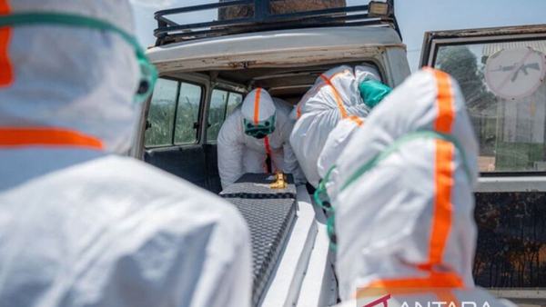 Kematian akibat Ebola di RD Kongo lampaui 300 kasus