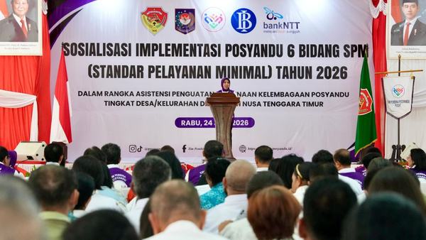 Ketua TP Posyandu : Banyak desa belum masukkan Posyandu dalam APBDes