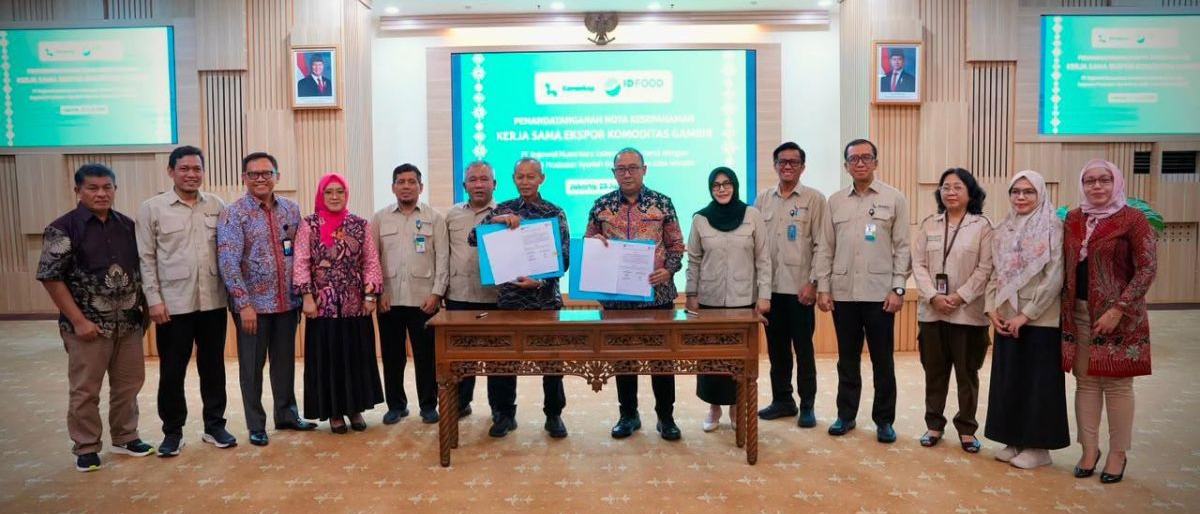 Koperasi gambir di Sumbar dan ID FOOD jalin kerja sama ekspor
