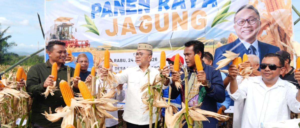Menko Pangan: Panen jagung Gorontalo 210 ton dukung swasembada pangan