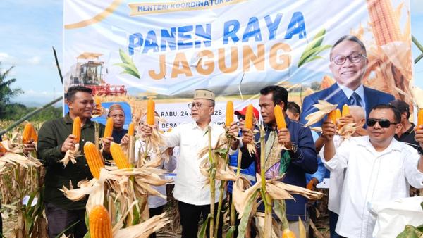 Menko Pangan: Panen jagung Gorontalo 210 ton dukung swasembada pangan