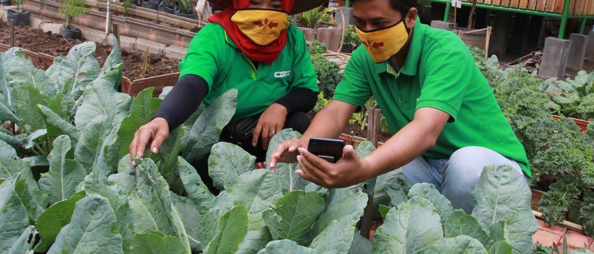 Pemprov Banten optimalkan hortikultura untuk suplai bahan baku MBG