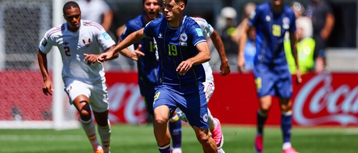 Sergej Barbarez bangga pada pencapaian Bosnia