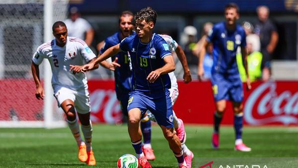 Sergej Barbarez bangga pada pencapaian Bosnia