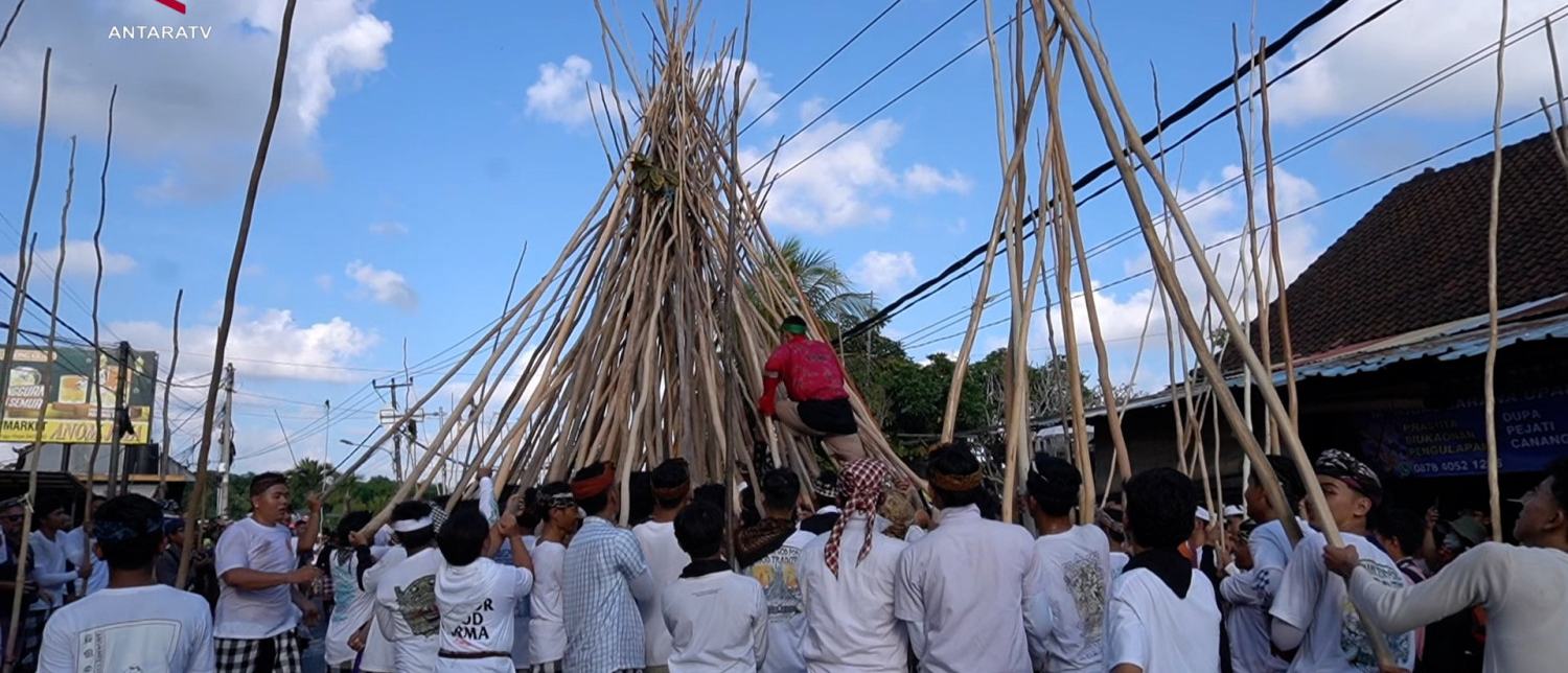 Tradisi Mekotek, perayaan kemenangan dari Desa Adat Munggu di Bali