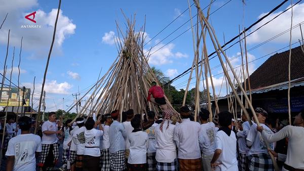 Tradisi Mekotek, perayaan kemenangan dari Desa Adat Munggu di Bali