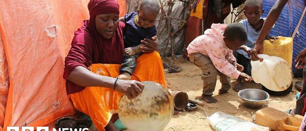 us-halts-assistance-to-somalia-over-claims-food-aid-was-illegally-seized-scrape-1767875850.jpg
